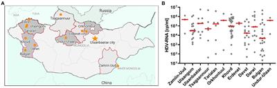 Sequence diversity of hepatitis D virus in Mongolia